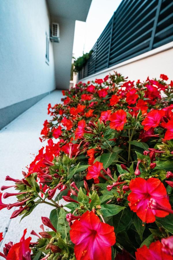 Villa Margita Split Ngoại thất bức ảnh