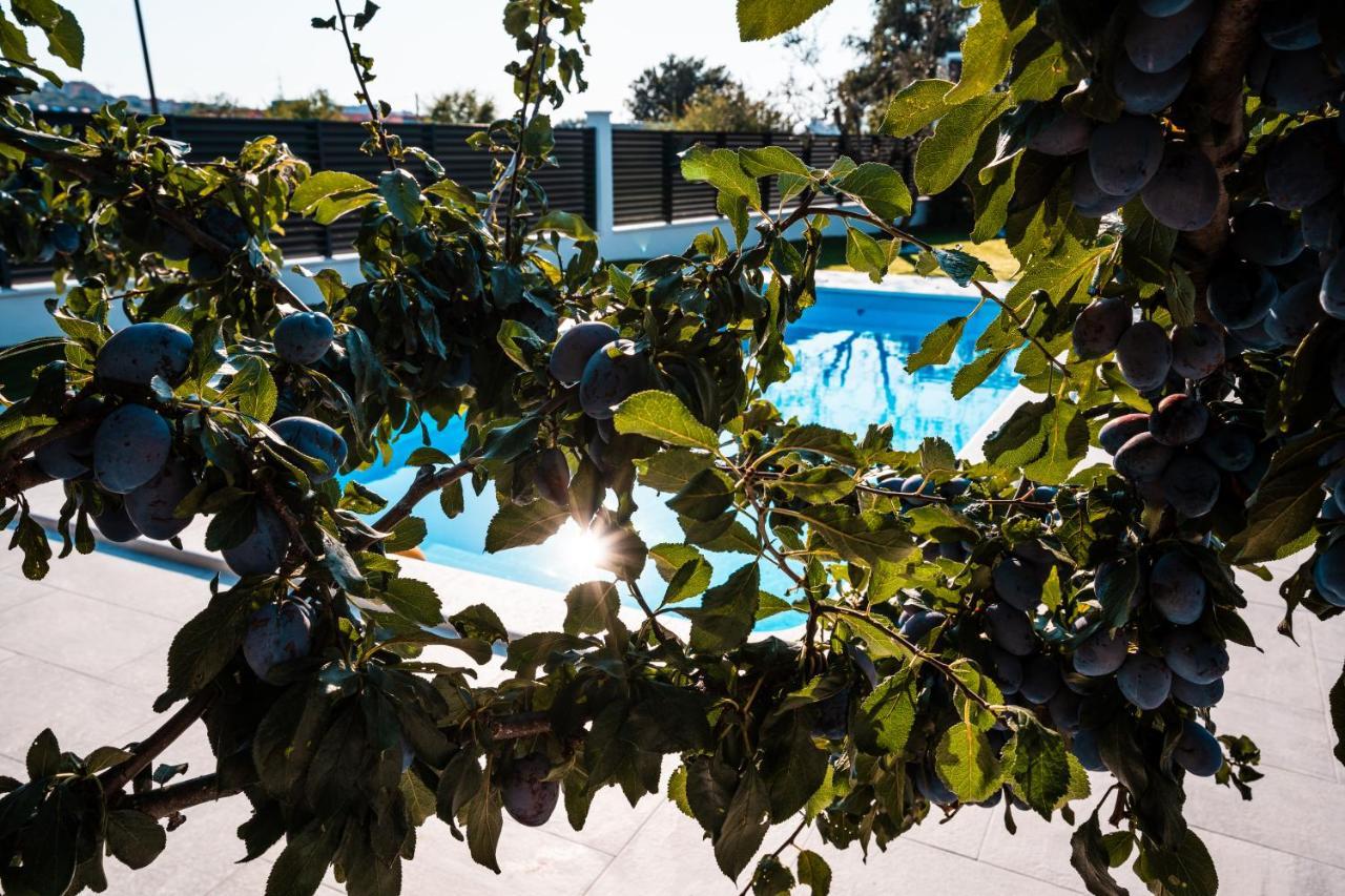 Villa Margita Split Ngoại thất bức ảnh