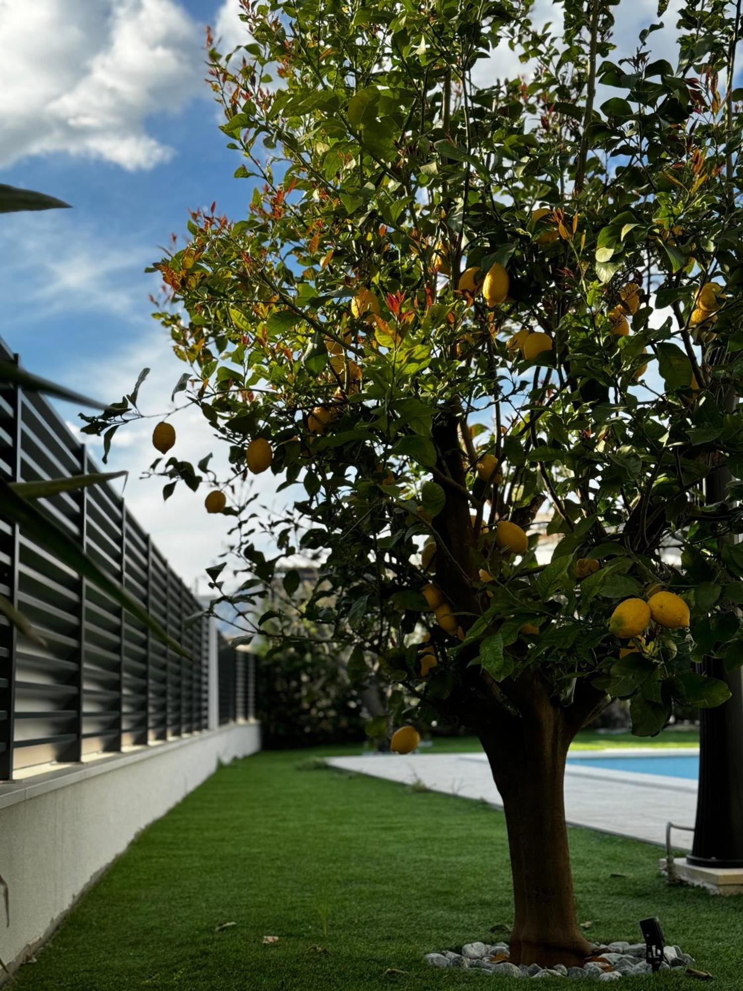 Villa Margita Split Ngoại thất bức ảnh